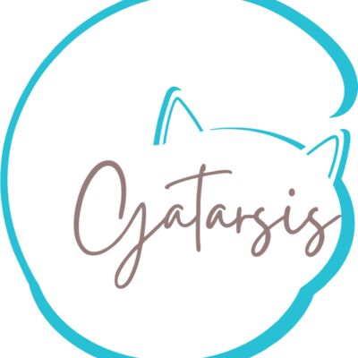 gatarsis vectorizado sin fondo  sin panza Miniatura