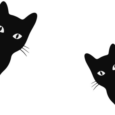 blank canvas designs  21  Miniatura