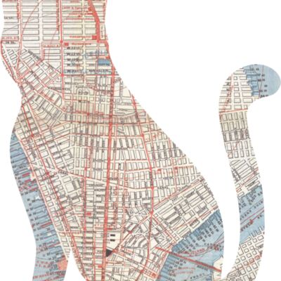 blank canvas designs  23  Miniatura