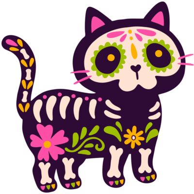 blank canvas designs  46   1  Miniatura